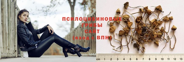 гашик Заволжье