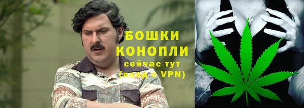 сатива Заводоуковск