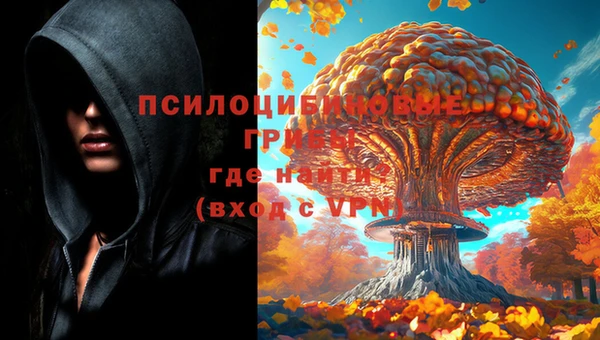 сатива Заводоуковск