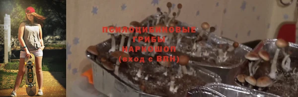 гашик Заволжье