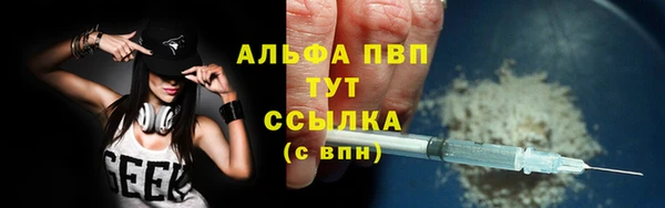 сатива Заводоуковск