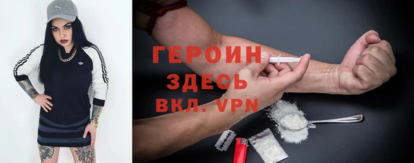 сатива Заводоуковск