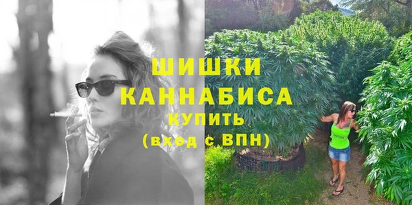 сатива Заводоуковск